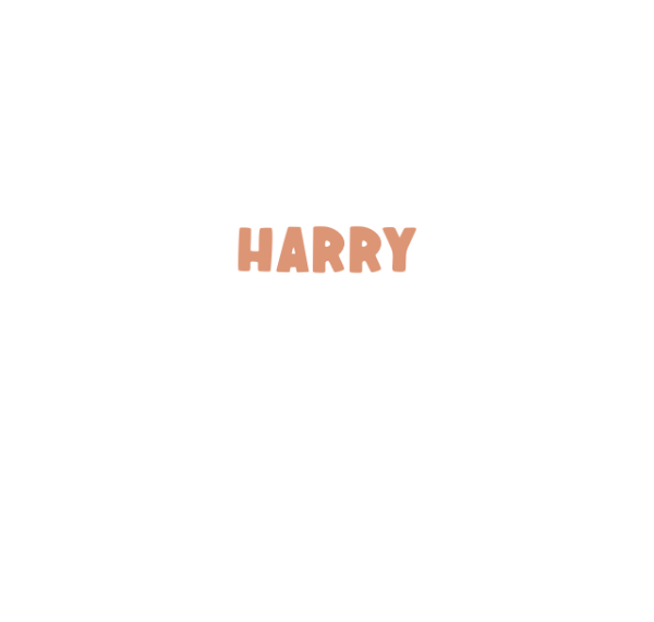 15cm - NAMES